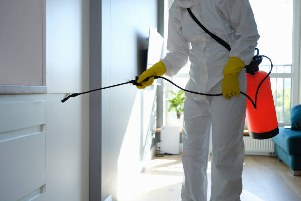 Best Mold Testing and Inspection Services in Coquille, OR